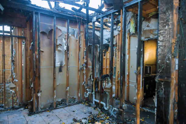Professional Odor Removal technician working in Georgetown, KY