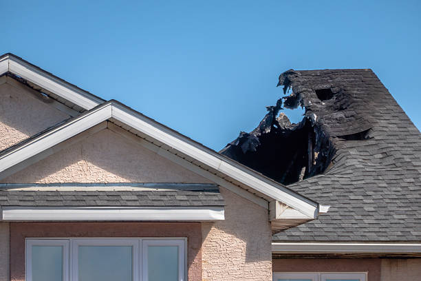 Top rated local Odor Removal specialists in Georgetown, KY